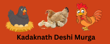 Deshkadaknathmurga.com